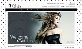 ผลงาน web design